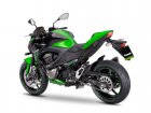 Kawasaki Z 800 Performance Edition